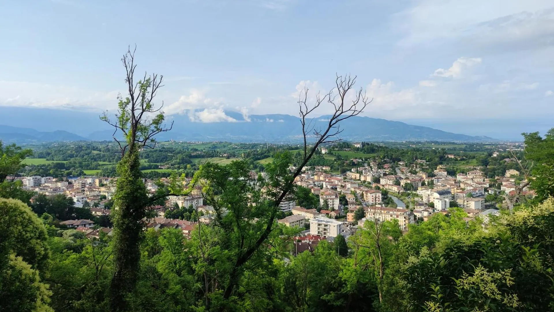 Bbconegliano Borlini Apartment Homestay Conegliano