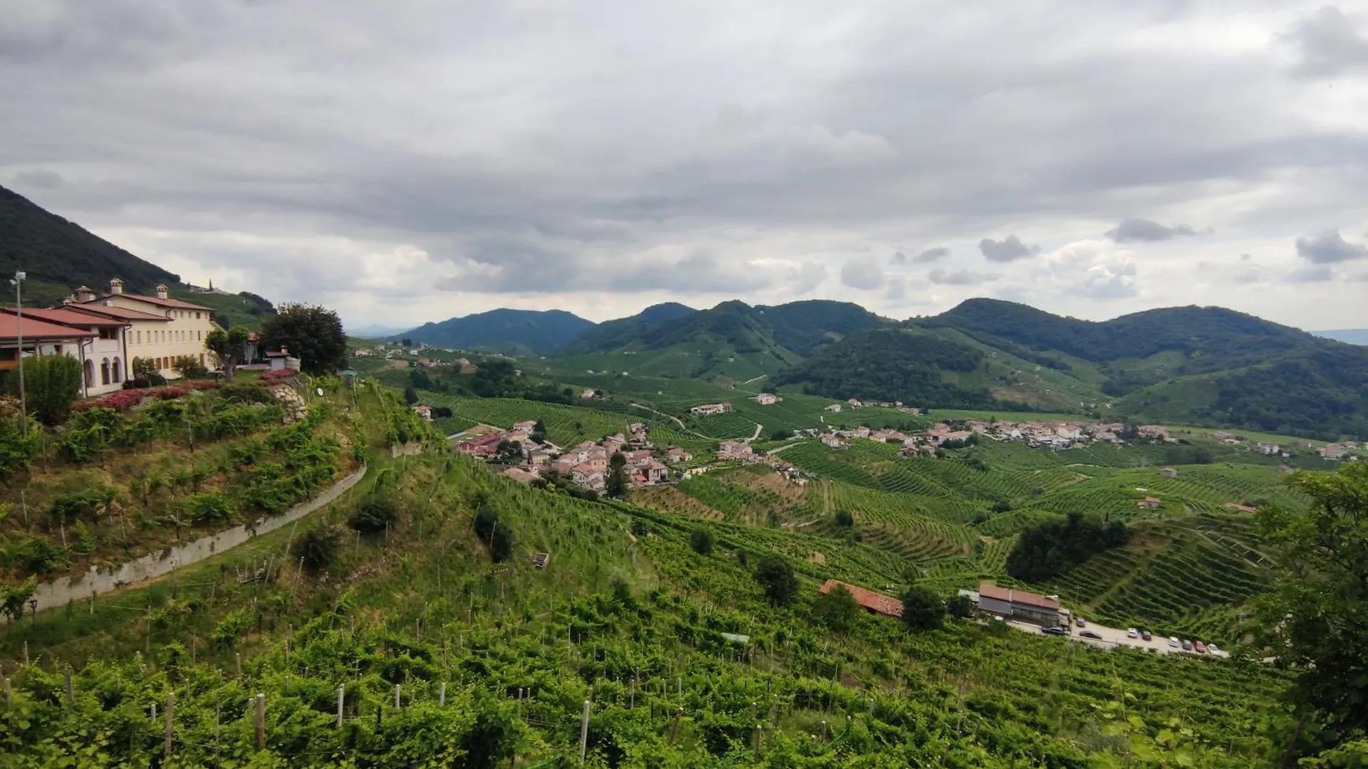 Homestay Bbconegliano Borlini Apartment
